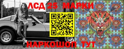 стаф Сланцы
