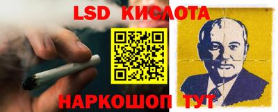 стаф Сланцы