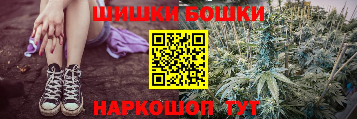 Конопля сатива Славгород